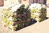 Доставка газона рулонного на поддонах+растения в контейнера из Раменского района в Грязинского района