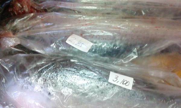 Перевозка свежемороженой рыбы из Мурманска в Москву