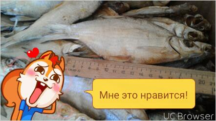 Грузовое такси для перевозки вялинной рыбы догрузом из Астрахани в Тулу